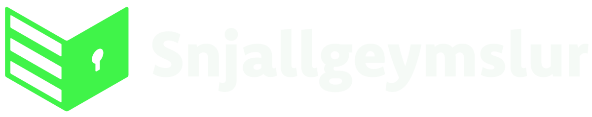 Snjallgeymslur